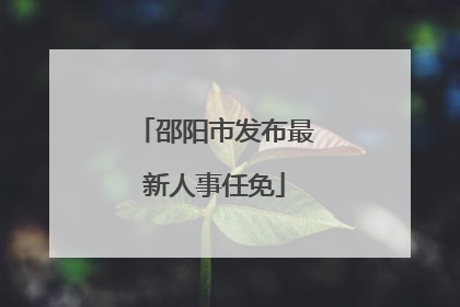 邵阳市发布最新人事任免