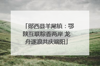 郧西县羊尾镇：鄂陕互联粽香两岸 龙舟逐浪共庆端阳