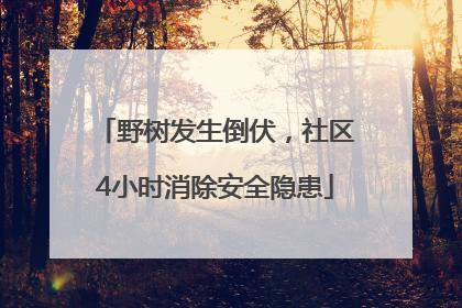 野树发生倒伏，社区4小时消除安全隐患