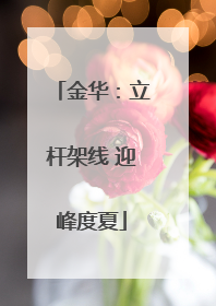 金华：立杆架线 迎峰度夏