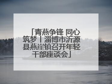 青燕争锋 同心筑梦丨淄博市沂源县燕崖镇召开年轻干部座谈会