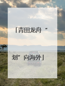 青田龙舟“划”向海外