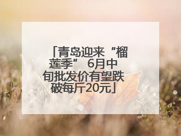 青岛迎来“榴莲季” 6月中旬批发价有望跌破每斤20元
