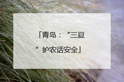 青岛：“三夏”护农话安全