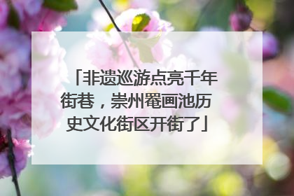 非遗巡游点亮千年街巷，崇州罨画池历史文化街区开街了