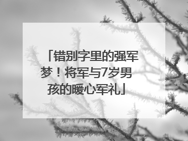 错别字里的强军梦！将军与7岁男孩的暖心军礼