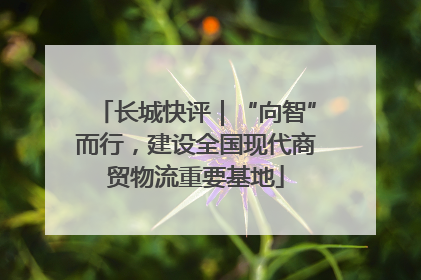 长城快评｜“向智”而行，建设全国现代商贸物流重要基地