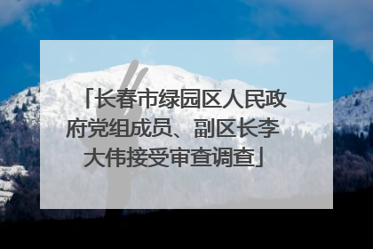 长春市绿园区人民政府党组成员、副区长李大伟接受审查调查