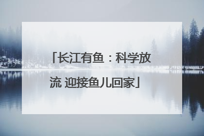 长江有鱼：科学放流 迎接鱼儿回家