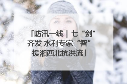 防汛一线｜七“剑”齐发 水利专家“智”援湘西北抗洪流