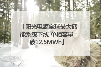 阳光电源全球最大储能系统下线 单柜容量破12.5MWh