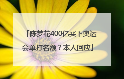 陈梦花400亿买下奥运会单打名额？本人回应