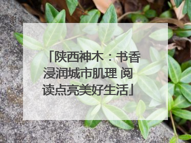 陕西神木：书香浸润城市肌理 阅读点亮美好生活