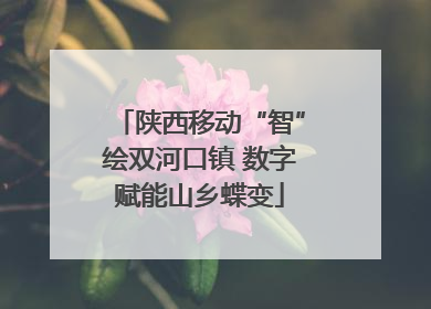 陕西移动“智”绘双河口镇 数字赋能山乡蝶变