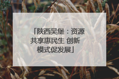 陕西吴堡：资源共享惠民生 创新模式促发展