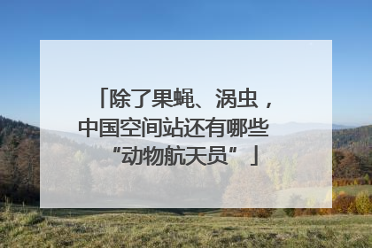除了果蝇、涡虫，中国空间站还有哪些“动物航天员”
