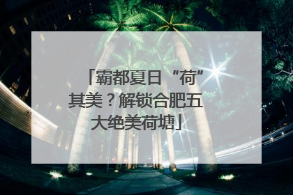 霸都夏日“荷”其美？解锁合肥五大绝美荷塘