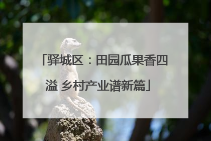 驿城区：田园瓜果香四溢 乡村产业谱新篇