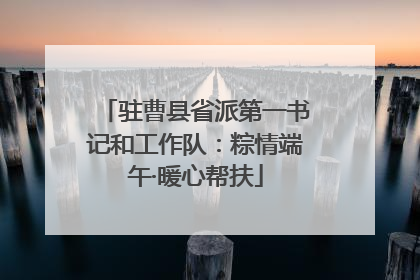 驻曹县省派第一书记和工作队：粽情端午·暖心帮扶