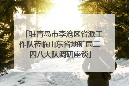 驻青岛市李沧区省派工作队莅临山东省地矿局二四八大队调研座谈