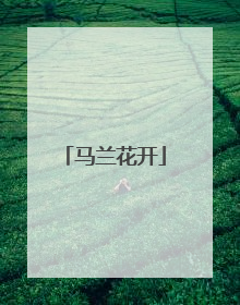 马兰花开
