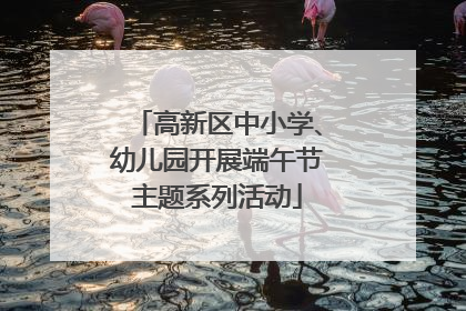 高新区中小学、幼儿园开展端午节主题系列活动