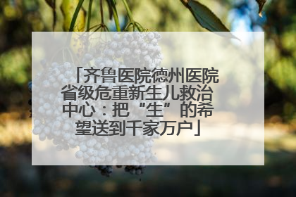 齐鲁医院德州医院省级危重新生儿救治中心：把“生”的希望送到千家万户