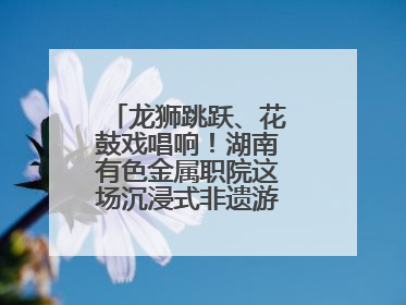 龙狮跳跃、花鼓戏唱响！湖南有色金属职院这场沉浸式非遗游园活动很带感