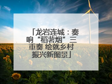 龙岩连城：奏响“稻薯烟”三重奏 绘就乡村振兴新图景