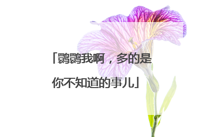 鹮鹮我啊，多的是你不知道的事儿