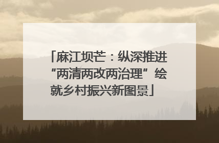 麻江坝芒：纵深推进“两清两改两治理”绘就乡村振兴新图景