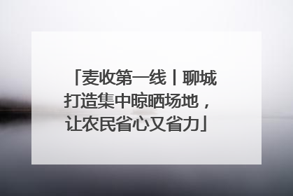 麦收第一线丨聊城打造集中晾晒场地，让农民省心又省力