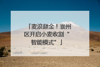麦浪翻金！襄州区开启小麦收割“智能模式”
