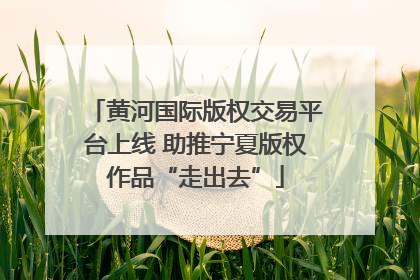黄河国际版权交易平台上线 助推宁夏版权作品“走出去”