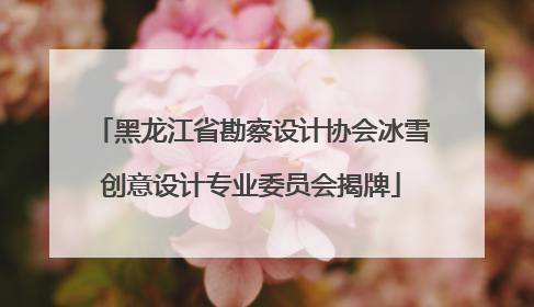 黑龙江省勘察设计协会冰雪创意设计专业委员会揭牌