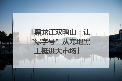 黑龙江双鸭山：让“绿字号”从寒地黑土挺进大市场