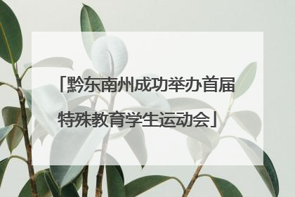 黔东南州成功举办首届特殊教育学生运动会