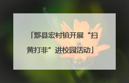 黟县宏村镇开展“扫黄打非”进校园活动