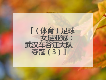 （体育）足球——女足亚冠：武汉车谷江大队夺冠（3）