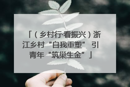 （乡村行·看振兴）浙江乡村“自我重塑” 引青年“筑巢生金”