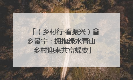 （乡村行·看振兴）畲乡景宁：拥抱绿水青山 乡村迎来共富蝶变