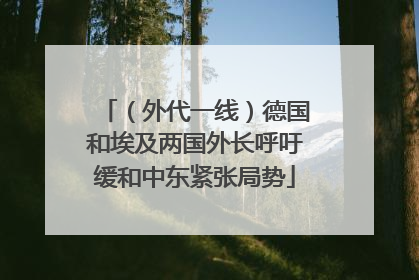 （外代一线）德国和埃及两国外长呼吁缓和中东紧张局势