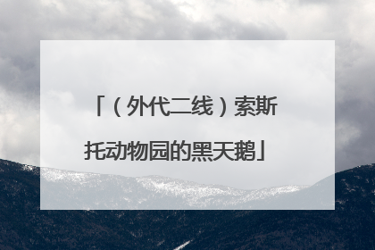 （外代二线）索斯托动物园的黑天鹅