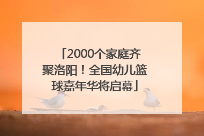 2000个家庭齐聚洛阳！全国幼儿篮球嘉年华将启幕