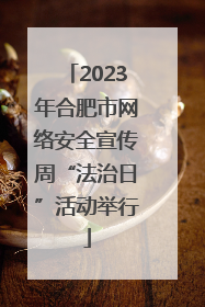 2023年合肥市网络安全宣传周“法治日”活动举行