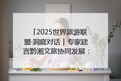 2025世界旅游联盟·洞庭对话｜专家建言黔湘文旅协同发展：聚焦产品稀缺性 深化区域经验共享