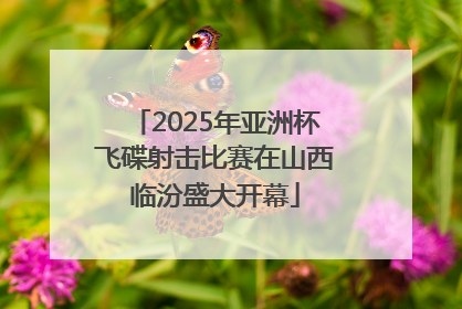 2025年亚洲杯飞碟射击比赛在山西临汾盛大开幕