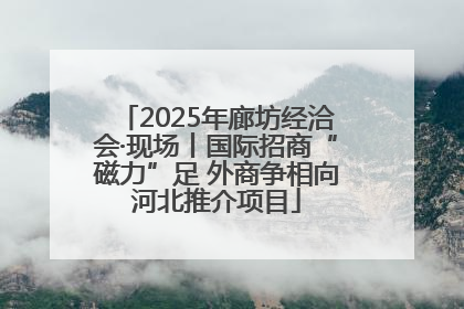 2025年廊坊经洽会·现场丨国际招商“磁力”足 外商争相向河北推介项目