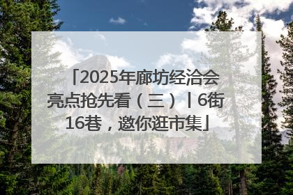 2025年廊坊经洽会亮点抢先看（三）丨6街16巷，邀你逛市集
