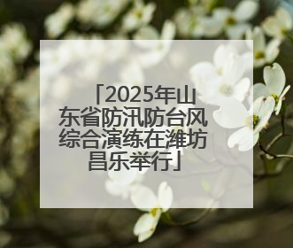 2025年山东省防汛防台风综合演练在潍坊昌乐举行